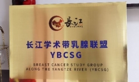长江学术带乳腺联盟 YBCSG