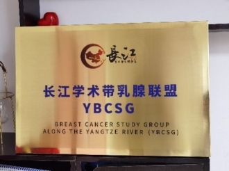 长江学术带乳腺联盟 YBCSG