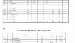 貴陽市婦幼保健院2021年部門預(yù)算及“三公”經(jīng)費預(yù)算公開表——2021年度市級部門預(yù)算及三公”經(jīng)費預(yù)算公開說明及填報口徑說明