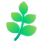 </div>
              <div   id=